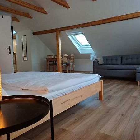 Loft Apartment Karlovy Vary Dış mekan fotoğraf