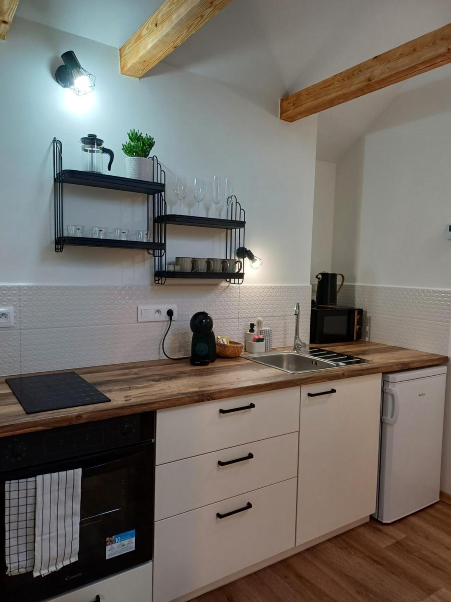 Loft Apartment Karlovy Vary Dış mekan fotoğraf